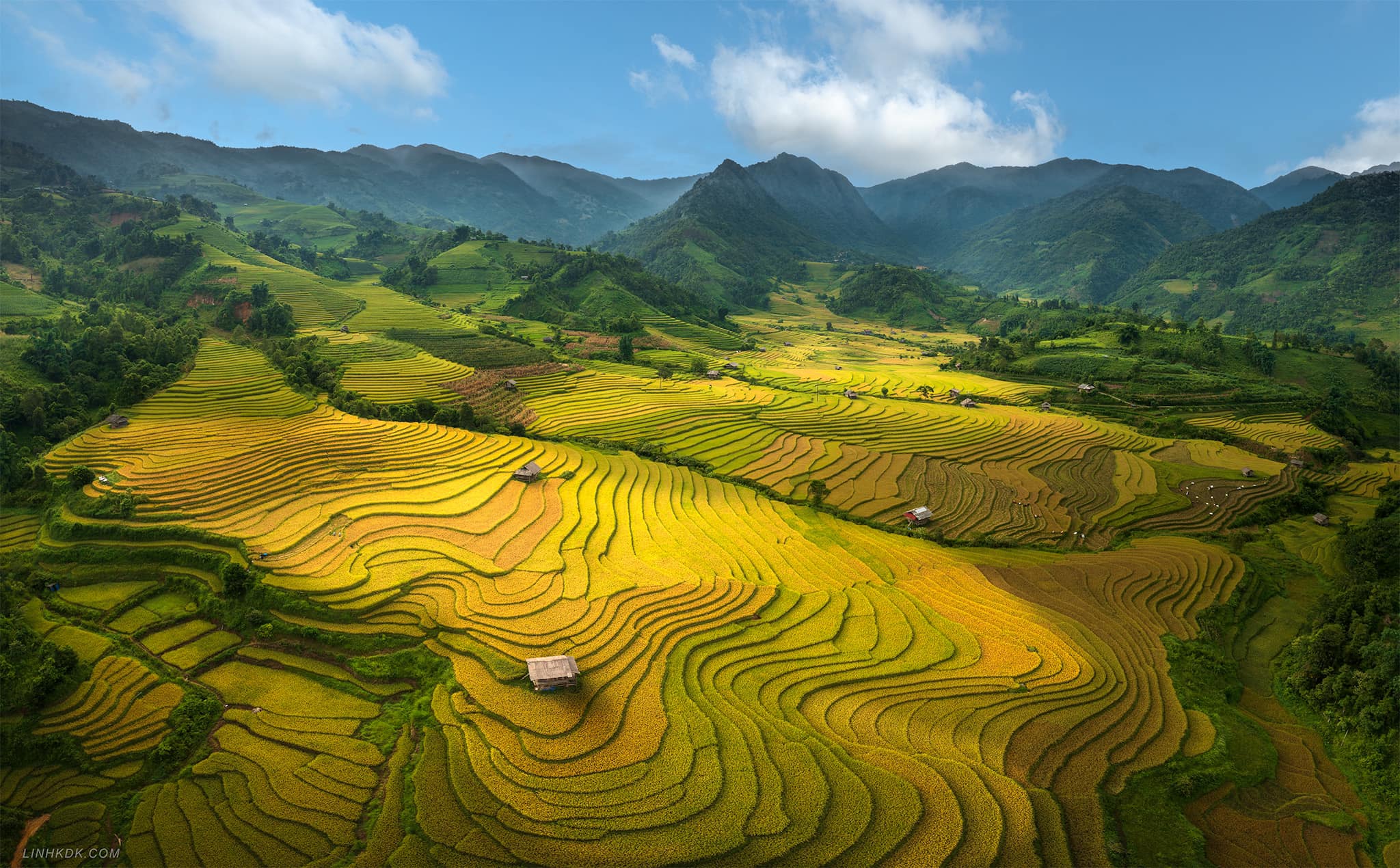 Sapa mùa lúa chín đẹp nhất trong năm